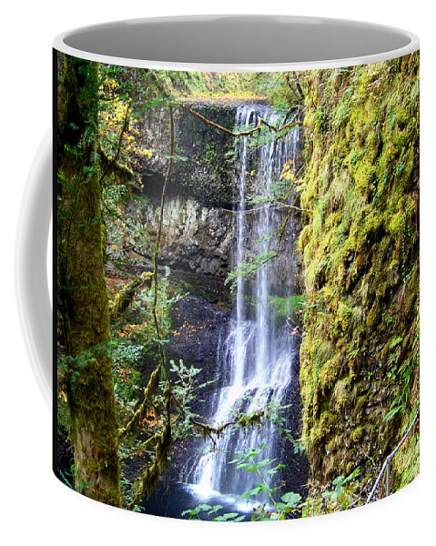 South Falls Coffee Mug featuring the photograph Lower South Falls Moss Covered Rocks by Charles Robinson