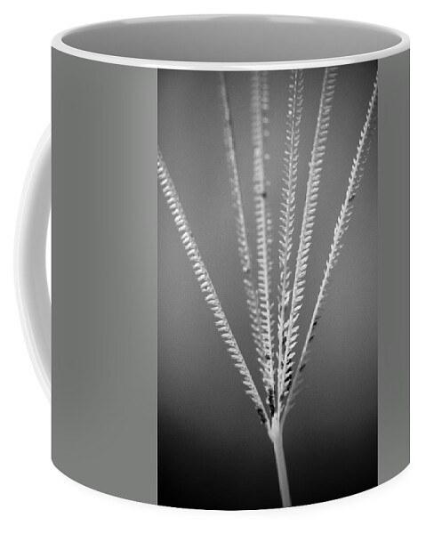 Florida Coffee Mug featuring the photograph Loxahatchee Grass by Bradley R Youngberg
