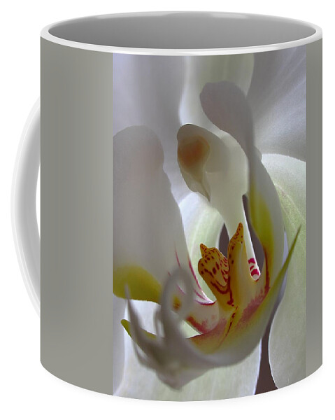 Orchid Coffee Mug featuring the photograph Luminous Orchid by Juergen Roth