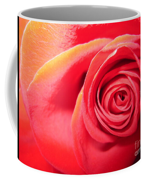 Floral Coffee Mug featuring the photograph Luminous Red Rose 1 by Tara Shalton