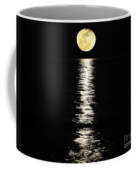 Moon Coffee Mug featuring the photograph Lunar Lane 02 by Al Powell Photography USA