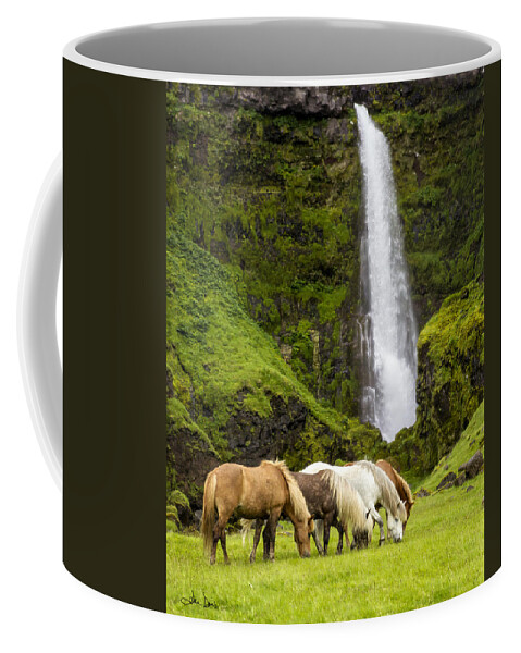 Equine Coffee Mug featuring the photograph Lunch At The Waterfall by Joan Davis