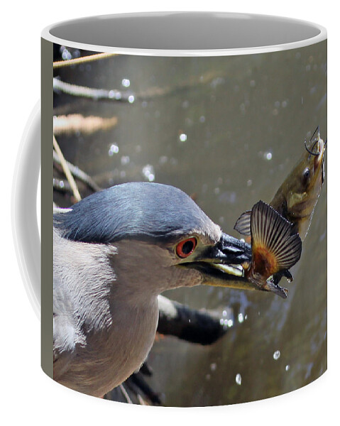 Catfish Coffee Mug featuring the photograph Lunch is Served by Shoal Hollingsworth