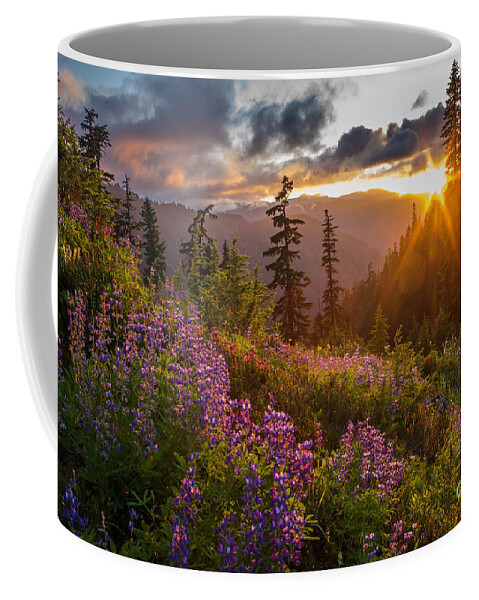 Mount Baker Coffee Mug featuring the photograph Lupine Meadows Sunstar by Mike Reid