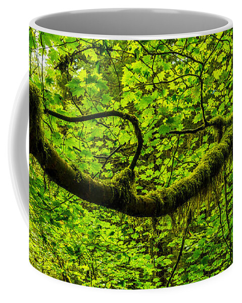 Tree Coffee Mug featuring the photograph Lush by Chad Dutson