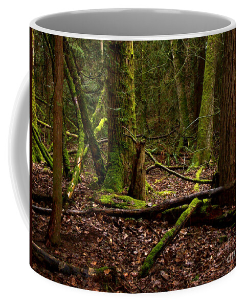 Forest Coffee Mug featuring the photograph Lush Green Forest by Mary Mikawoz