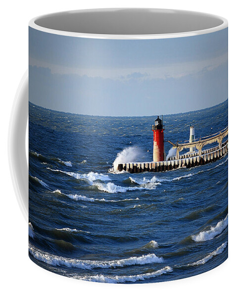  Coffee Mug featuring the photograph Lwv50028 by Lee Winter