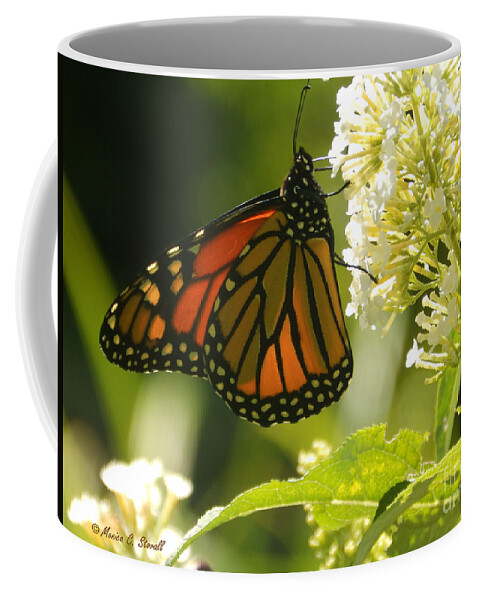 Monarch Butterfly Coffee Mug featuring the photograph M White Flowers Collection No. W12 - Monarch Butterfly Sipping Nectar by Monica C Stovall