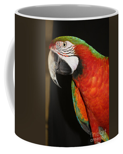 Macaw Profile Coffee Mug featuring the photograph Macaw Profile by John Telfer