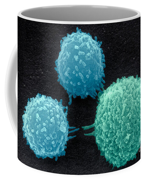 Follicle Coffee Mug featuring the photograph Macrophage And Two Lymphocytes by David M. Phillips