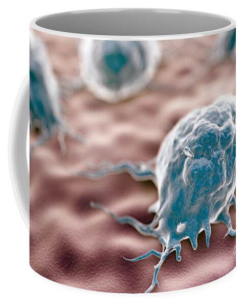 Leucocytes Coffee Mug featuring the photograph Macrophages by Science Picture Co