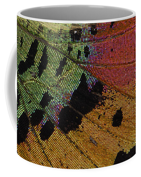 Feb0514 Coffee Mug featuring the photograph Madagascan Sunset Moth Wing Detail by Thomas Marent
