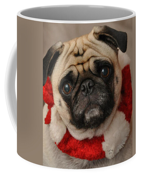 Dog Coffee Mug featuring the photograph Maggie Girl by Trish Tritz