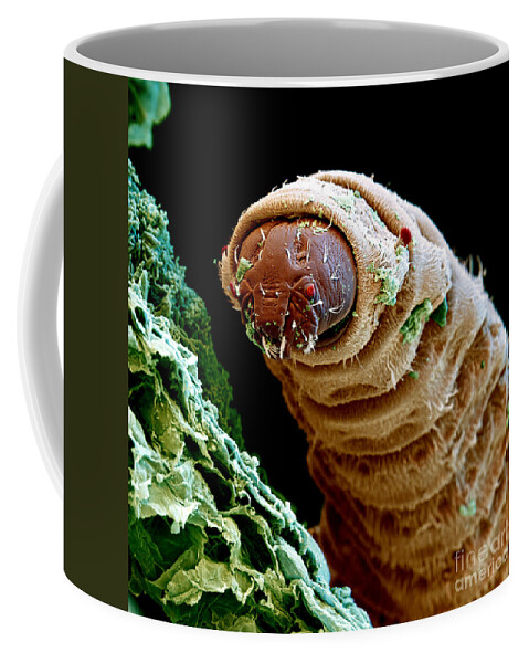 Maggot Coffee Mug by Eye of Science - Pixels