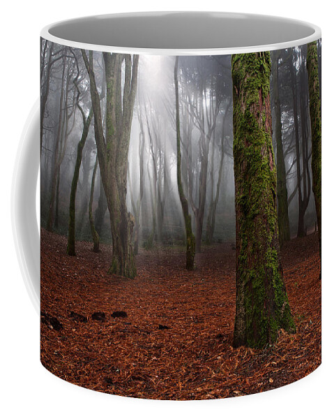 Light Coffee Mug featuring the photograph Magic light by Jorge Maia