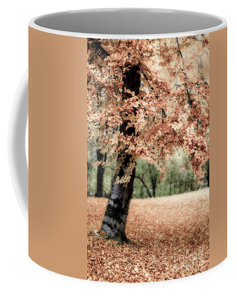 Autumn Coffee Mug featuring the photograph Magical Fall by Hannes Cmarits