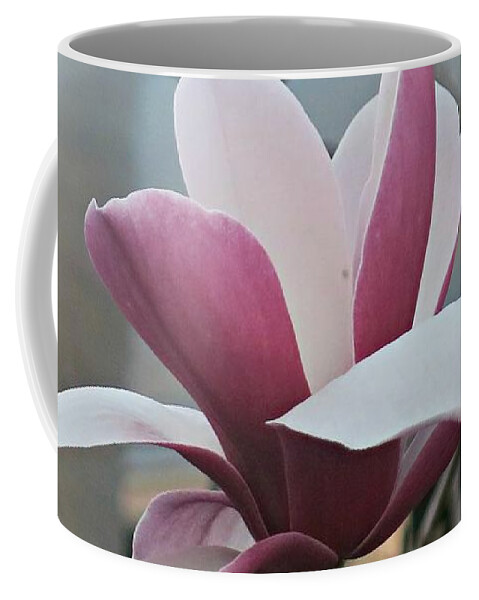 Magnolia Coffee Mug featuring the photograph Magnificent Magnolia Blossom by Leanne Seymour