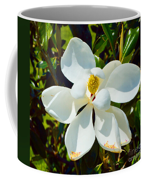 Magnolia Coffee Mug featuring the photograph Magnolia Blossom by Alys Caviness-Gober