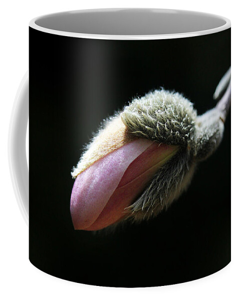 Flowers Coffee Mug featuring the photograph Magnolia Bud by Trina Ansel