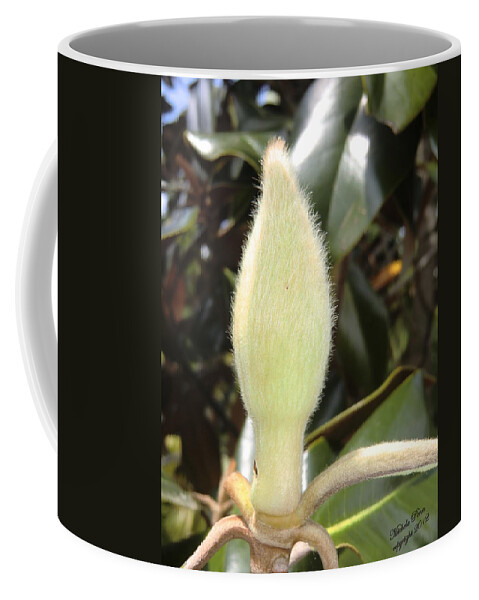 Flower Photograph Coffee Mug featuring the photograph Magnolia - Essence by Michele Penn