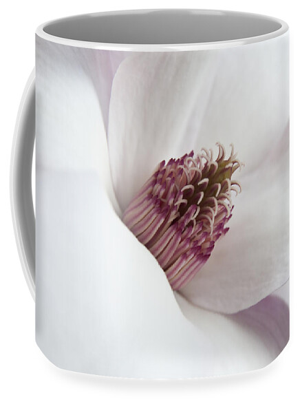 Flower Coffee Mug featuring the photograph Magnolia Flower by Jeannette Hunt