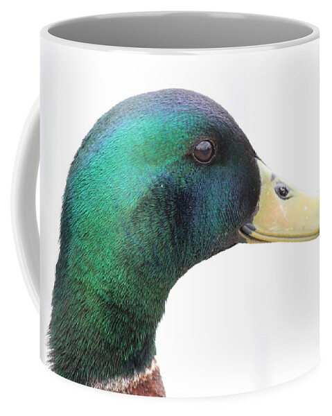 Duck Coffee Mug featuring the photograph Majestic Mallard by Jennifer E Doll