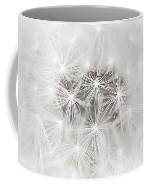 Dandelion Coffee Mug featuring the photograph Make a Wish by Patty Colabuono
