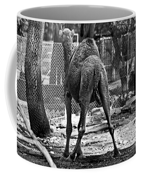 #camel Coffee Mug featuring the photograph Making a stand by Miroslava Jurcik