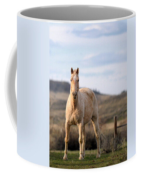 Horse Coffee Mug featuring the photograph Making Eye Contact by Liz Mackney