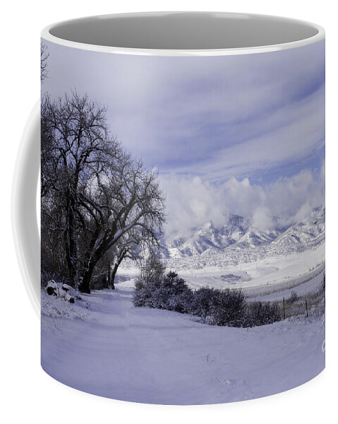 Co. Usa Coffee Mug featuring the photograph Making First Tracks by Kristal Kraft