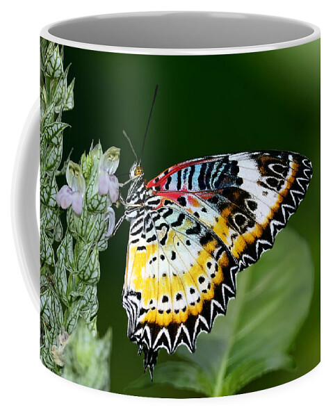 Dodsworth Coffee Mug featuring the photograph Malay Lacewing Butterfly by Bill Dodsworth