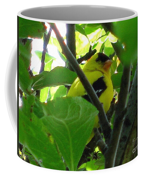 American Goldfinch Coffee Mug featuring the painting Male American Goldfinch by J McCombie