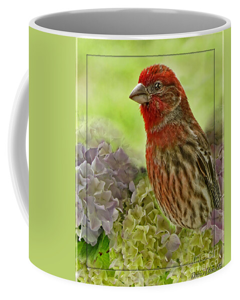 Nature Coffee Mug featuring the photograph Male Finch in Hydrangesa by Debbie Portwood