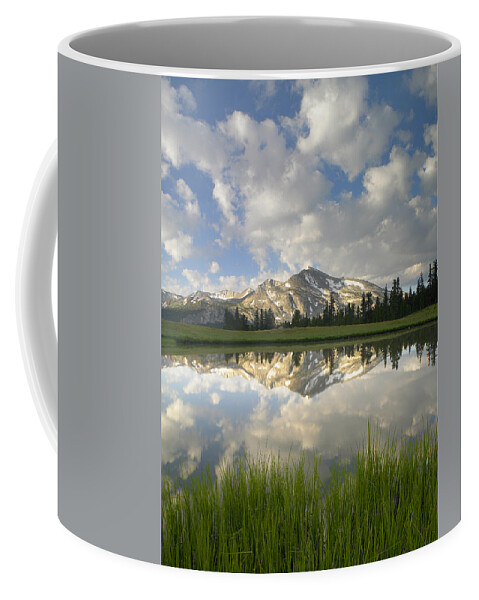 00175345 Coffee Mug featuring the photograph Mammoth Peak And Clouds Reflected by Tim Fitzharris