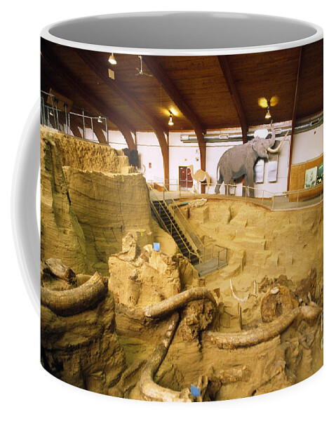 Mammoth Site Coffee Mug featuring the photograph Mammoth Site Museum by Mark Newman