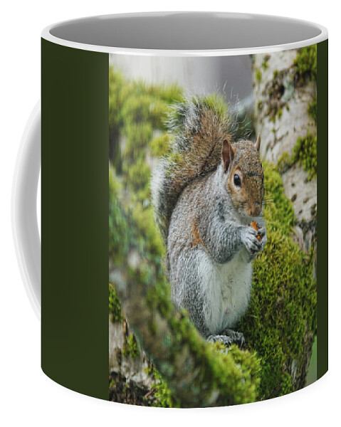 Squirrel Coffee Mug featuring the photograph Man this is good by Ron Roberts