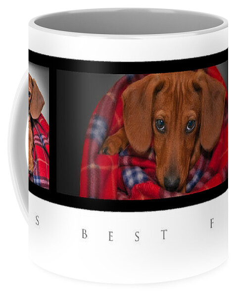 Mini Dachshund Coffee Mug featuring the photograph Mans Best Friend by Susan Candelario