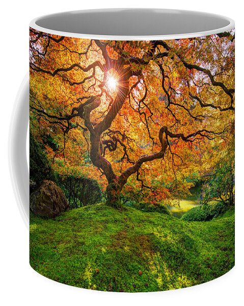 Japanese Maple Coffee Mug featuring the photograph Maple by Dustin LeFevre