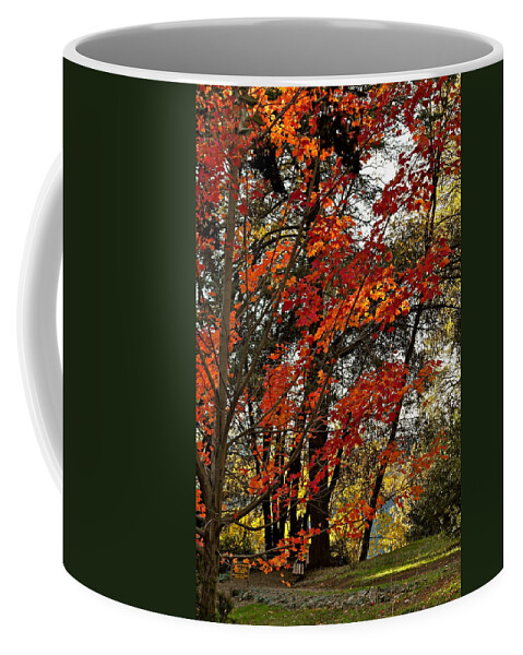 Fall Foliage Coffee Mug featuring the photograph Maple Glory in Paradise by Michele Myers