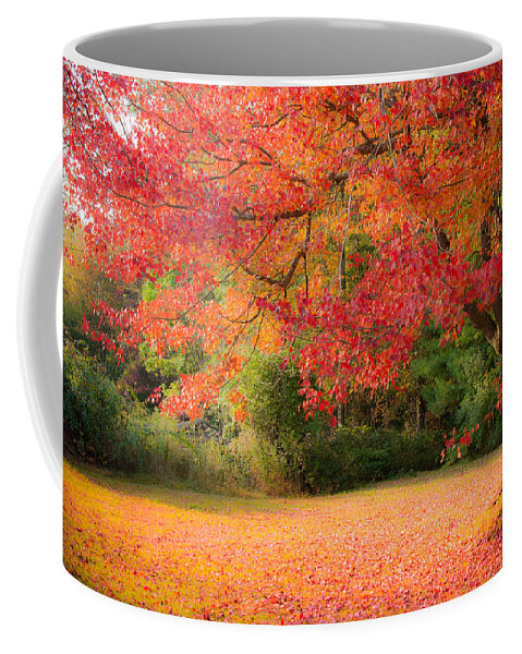Rhode Island Fall Foliage Coffee Mug featuring the photograph Maple In Red And Orange by Jeff Folger