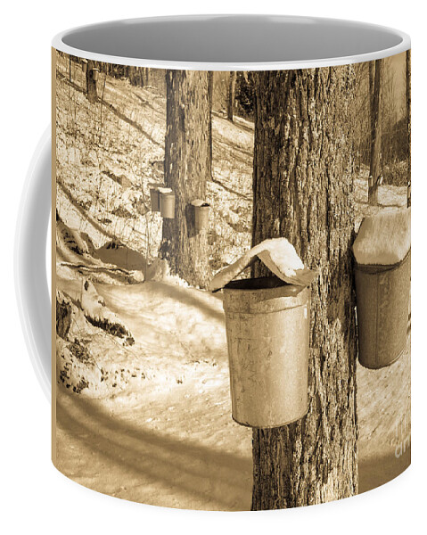 Vermont Coffee Mug featuring the photograph Maple Sap Buckets by Edward Fielding