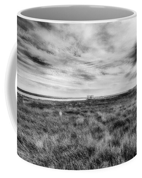 Gulf Of Mexico Coffee Mug featuring the photograph Marsh Life by Raul Rodriguez