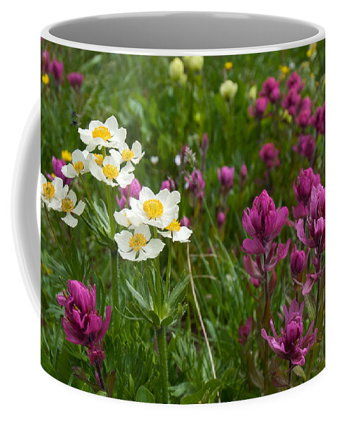 Narcissus Anemone Coffee Mug featuring the photograph Narcissus Anemone and Rosy Paintbrush by Cascade Colors
