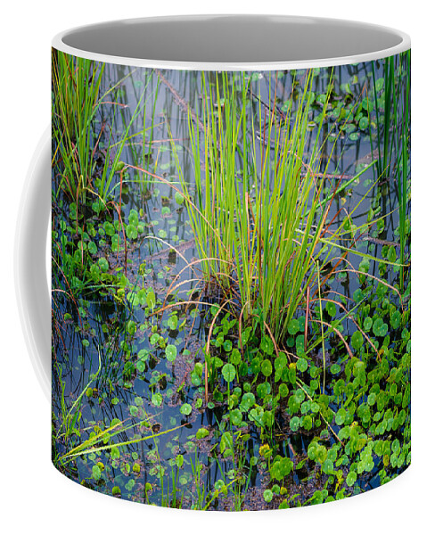 Green Coffee Mug featuring the photograph Marsh Plants by Doug Long