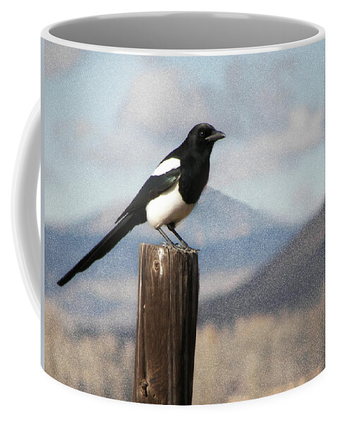  Marty The Magpie Coffee Mug featuring the photograph Marty's Dilema by Daniel Hebard