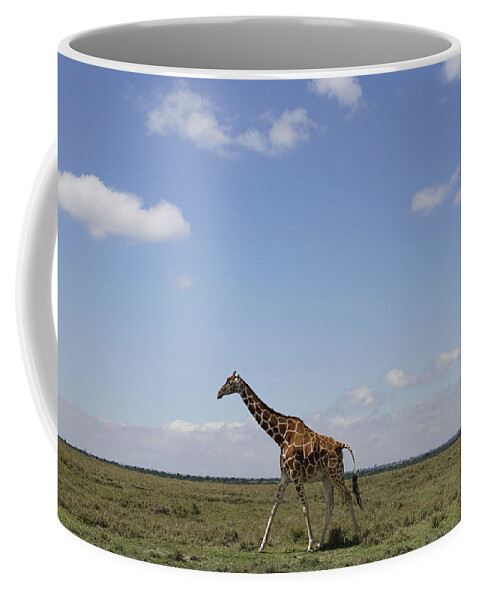 Hiroya Minakuchi Coffee Mug featuring the photograph Masai Giraffe On Savanna Masai Mara by Hiroya Minakuchi