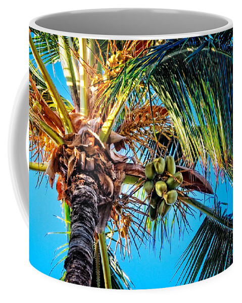 Hawaii Coffee Mug featuring the photograph Maui Palm by Lars Lentz