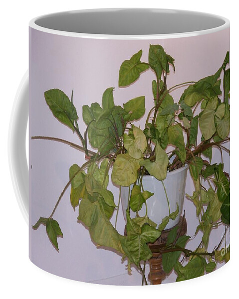 Plant Coffee Mug featuring the photograph Me And My Shadow by Jackie Mueller-Jones