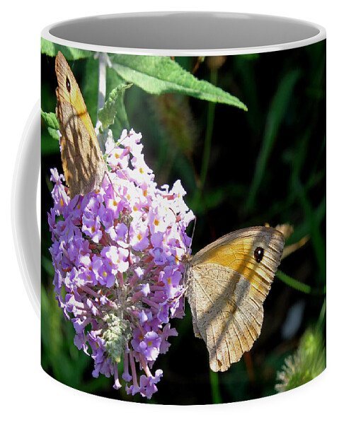 Meadow Brown Butterfly Coffee Mug featuring the photograph Meadow Brown butterfly by Tony Murtagh
