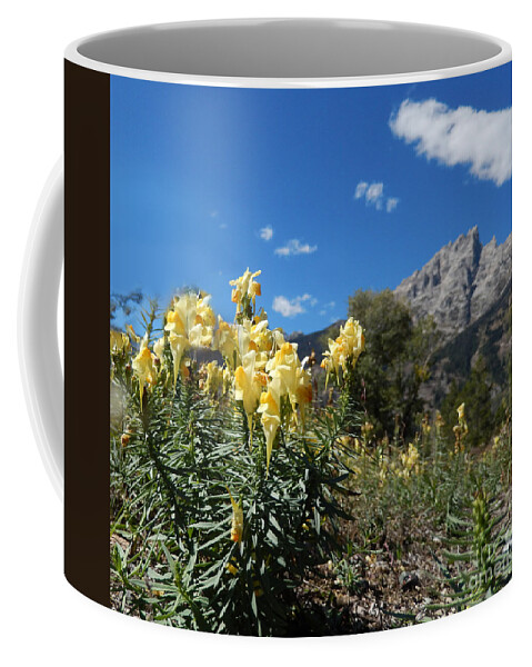 Grand Teton National Park Coffee Mug featuring the photograph Meadow Flowers and the Grand Teton by Heather Coen